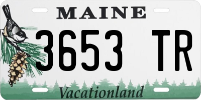 ME license plate 3653TR