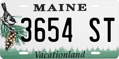 ME license plate 3654ST