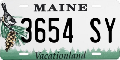 ME license plate 3654SY