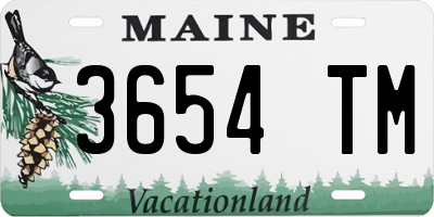 ME license plate 3654TM