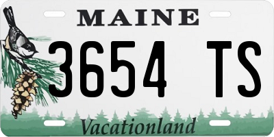 ME license plate 3654TS