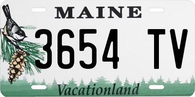 ME license plate 3654TV