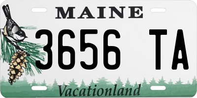 ME license plate 3656TA