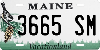 ME license plate 3665SM