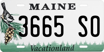 ME license plate 3665SO