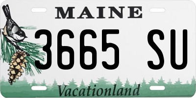 ME license plate 3665SU