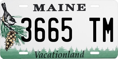 ME license plate 3665TM