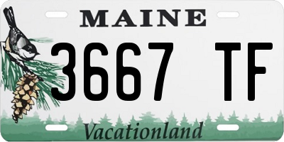 ME license plate 3667TF