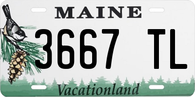 ME license plate 3667TL