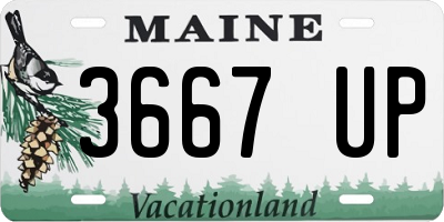 ME license plate 3667UP