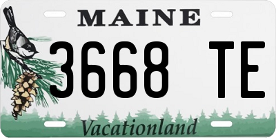 ME license plate 3668TE