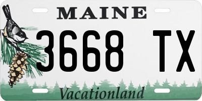 ME license plate 3668TX