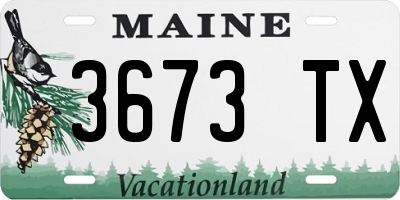 ME license plate 3673TX