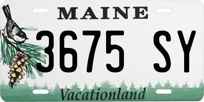 ME license plate 3675SY