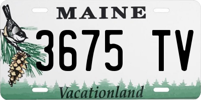 ME license plate 3675TV