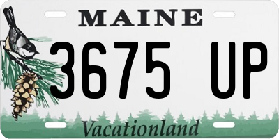ME license plate 3675UP