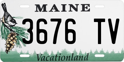 ME license plate 3676TV