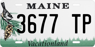 ME license plate 3677TP