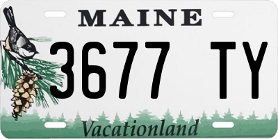 ME license plate 3677TY
