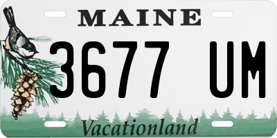 ME license plate 3677UM