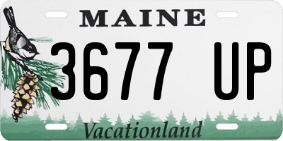 ME license plate 3677UP