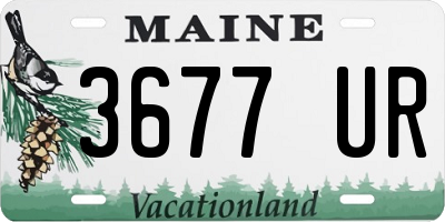 ME license plate 3677UR