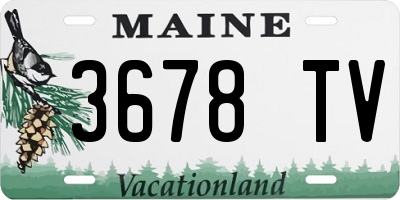 ME license plate 3678TV