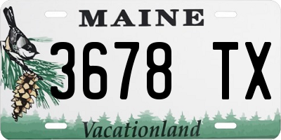 ME license plate 3678TX