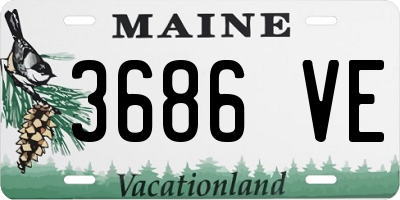 ME license plate 3686VE