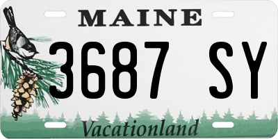 ME license plate 3687SY