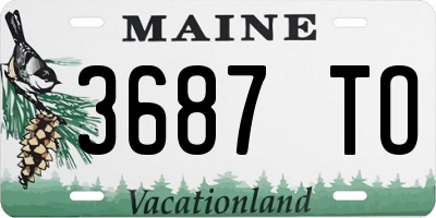 ME license plate 3687TO