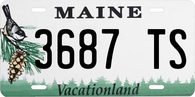 ME license plate 3687TS
