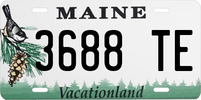 ME license plate 3688TE