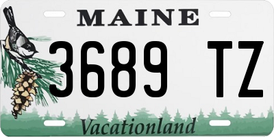 ME license plate 3689TZ