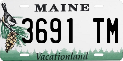 ME license plate 3691TM