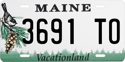 ME license plate 3691TO