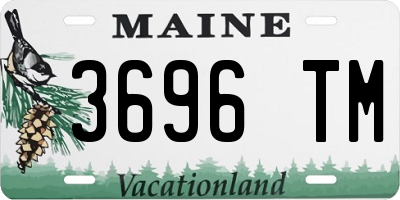 ME license plate 3696TM