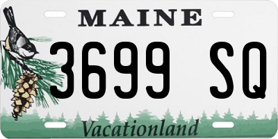 ME license plate 3699SQ