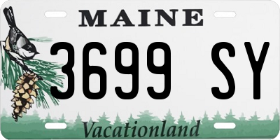 ME license plate 3699SY