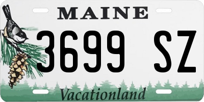 ME license plate 3699SZ