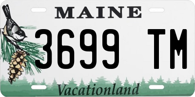 ME license plate 3699TM