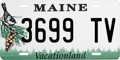 ME license plate 3699TV