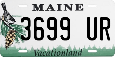 ME license plate 3699UR