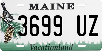 ME license plate 3699UZ