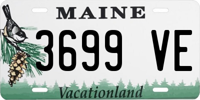 ME license plate 3699VE