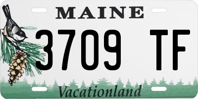 ME license plate 3709TF