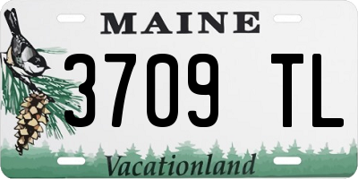 ME license plate 3709TL