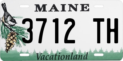 ME license plate 3712TH