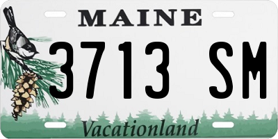 ME license plate 3713SM