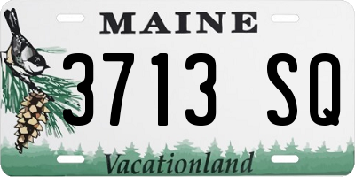 ME license plate 3713SQ